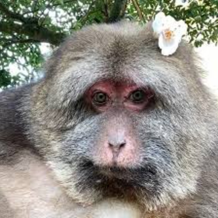 thanksforexitliquidity.eth Ethereum Name Service (ENS and .eth domain) PFP