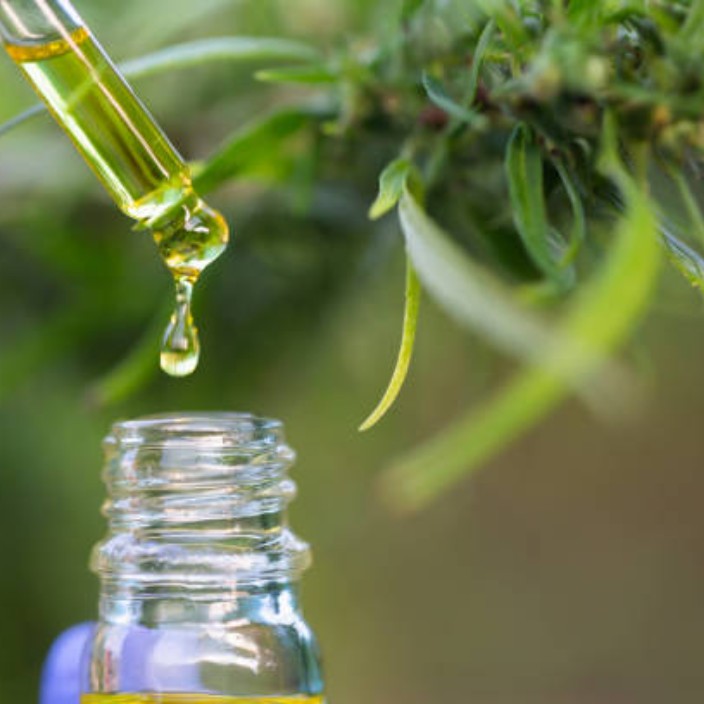 thcoils.eth Ethereum Name Service (ENS and .eth domain) PFP