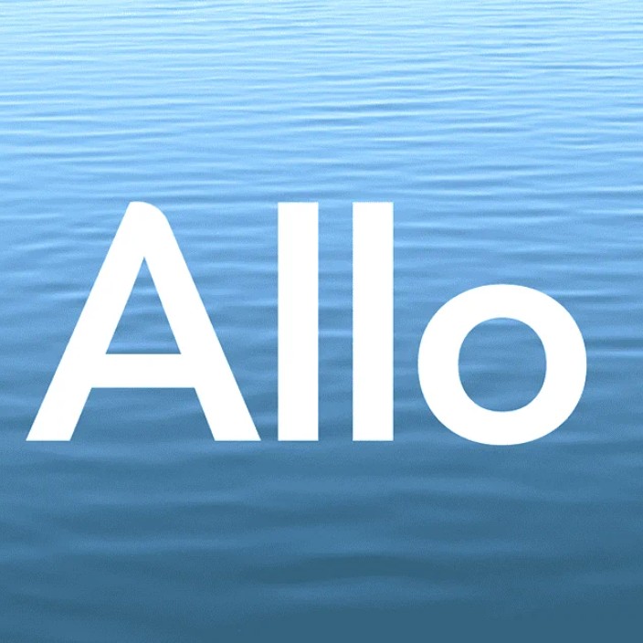 Allo Deployer (thedeployoor.eth) Ethereum Name Service (ENS and .eth domain) PFP