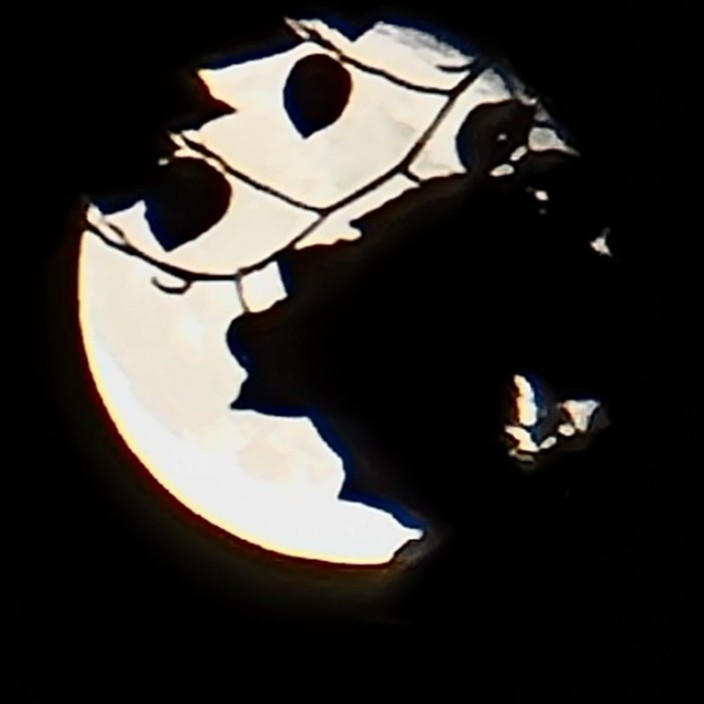 thegooddev.eth Ethereum Name Service (ENS and .eth domain) PFP