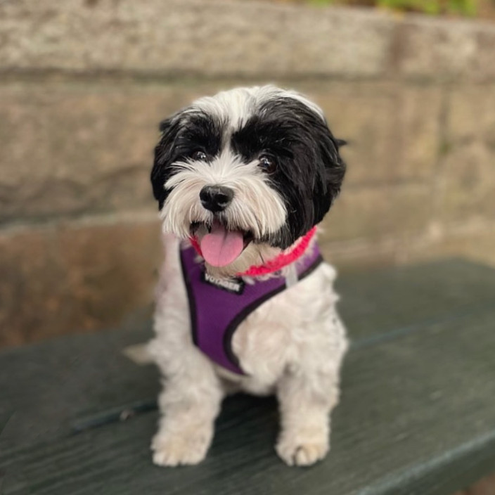 Jordana (themstitches.eth) Ethereum Name Service (ENS and .eth domain) PFP