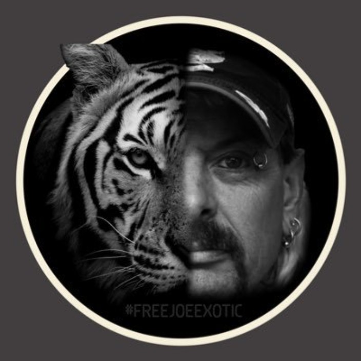 thetigerking.eth Ethereum Name Service (ENS and .eth domain) PFP