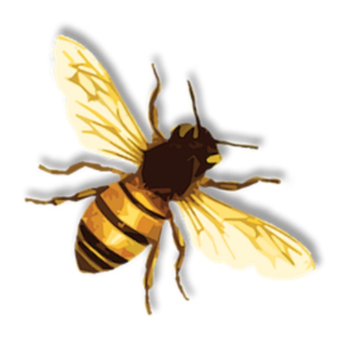 ticklebee.eth Ethereum Name Service (ENS and .eth domain) PFP
