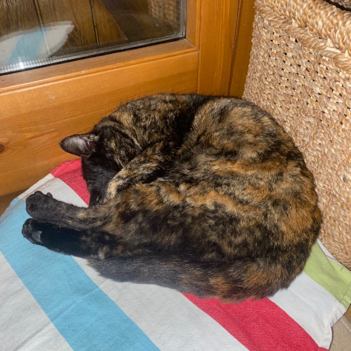 tinyo.eth Ethereum Name Service (ENS and .eth domain) PFP