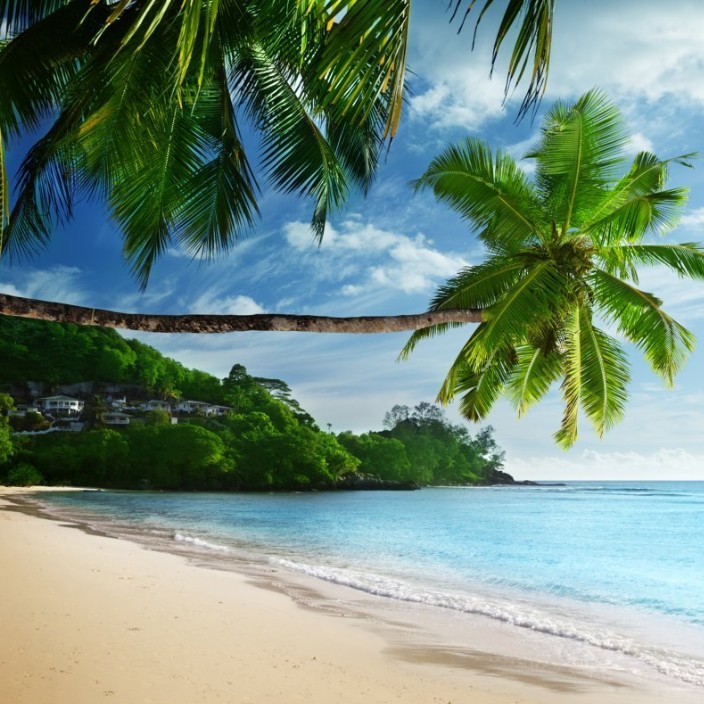 tokentrump.eth Ethereum Name Service (ENS and .eth domain) PFP