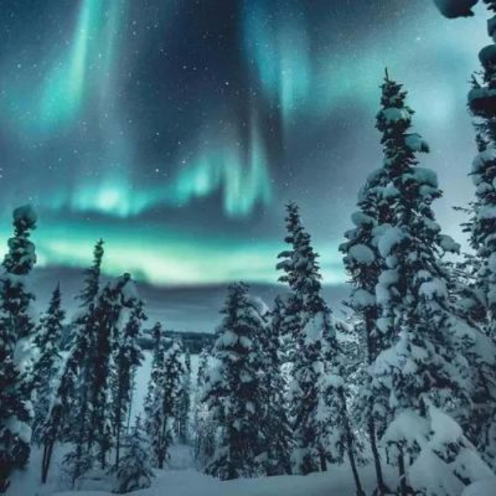 tonghaotong.eth Ethereum Name Service (ENS and .eth domain) PFP