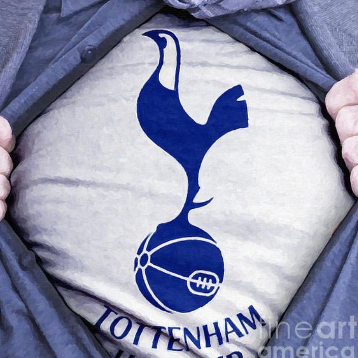 tottenham.eth Ethereum Name Service (ENS and .eth domain) PFP