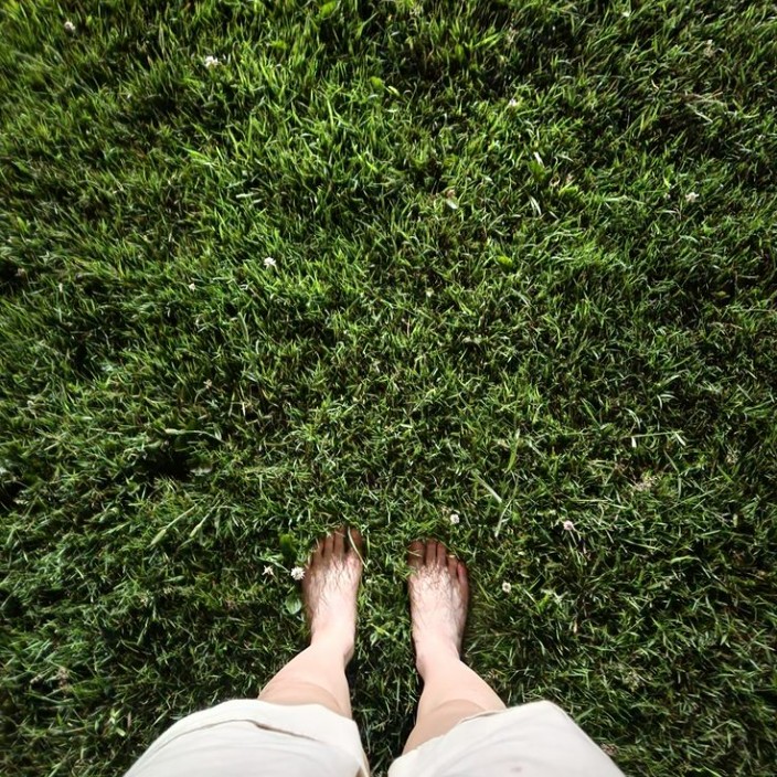 mianmakaka (mianmakaka.lens) Lens social identity (.lens handle) PFP