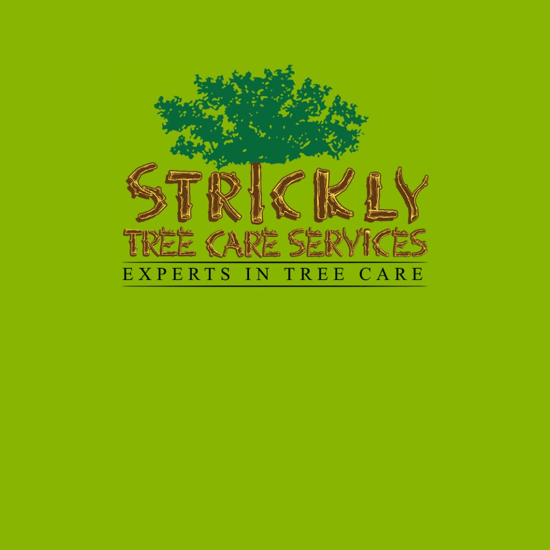 trees123.eth Ethereum Name Service (ENS and .eth domain) PFP