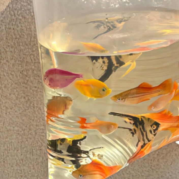 trepoerter.eth Ethereum Name Service (ENS and .eth domain) PFP