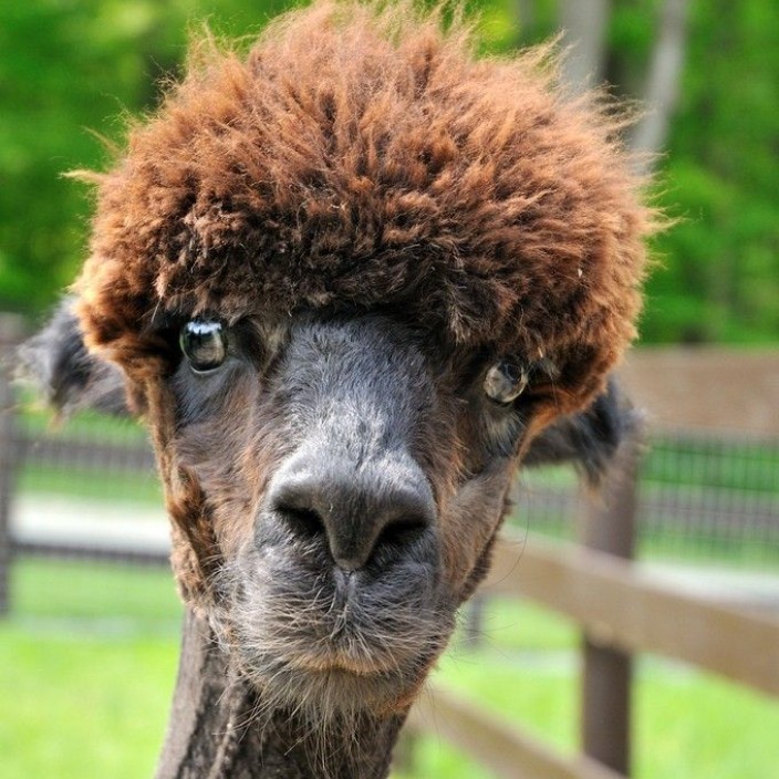 trulala.base.eth Basenames (.base.eth domains) based on ENS PFP