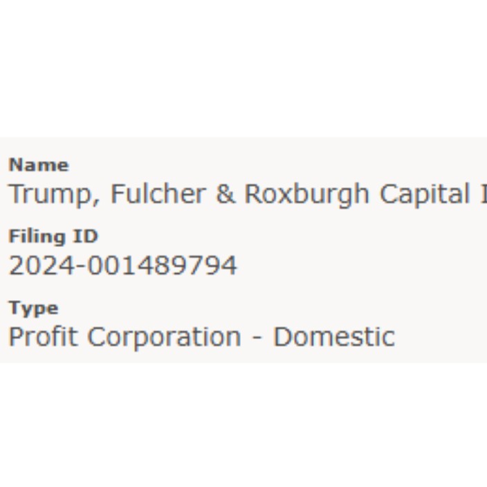 trumpfulcherroxburghcapital.eth Ethereum Name Service (ENS and .eth domain) PFP