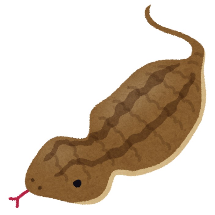 tsuchinoko.eth Ethereum Name Service (ENS and .eth domain) PFP