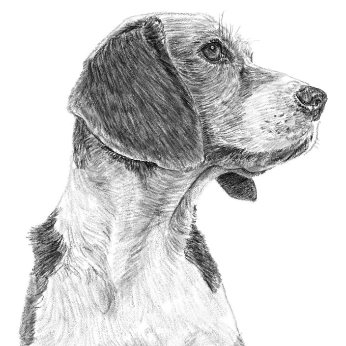 ttche.eth Ethereum Name Service (ENS and .eth domain) PFP