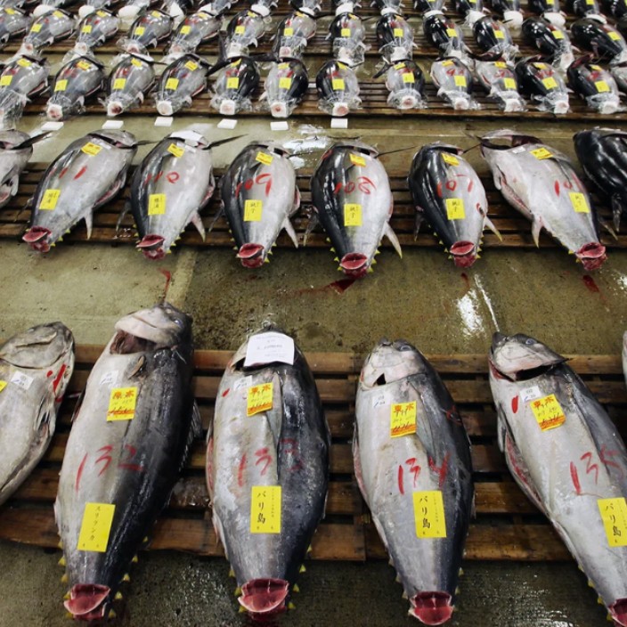 tunaex.eth Ethereum Name Service (ENS and .eth domain) PFP