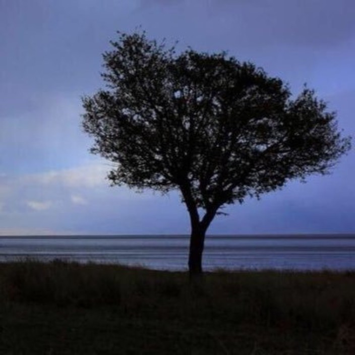 Tunch (tunch.linea.eth) Linea Name Service (.linea.eth domains) based on ENS PFP