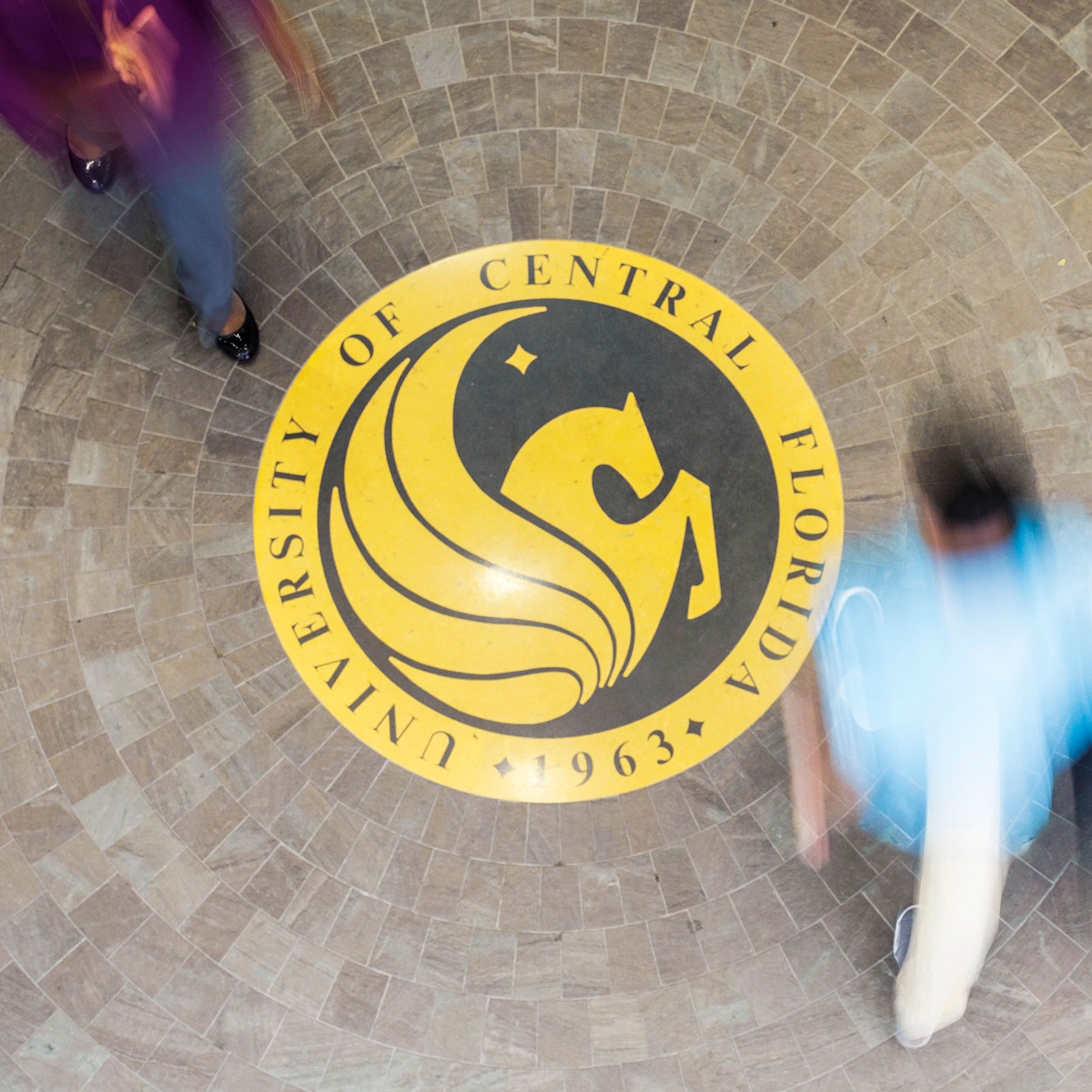 ucf.eth Ethereum Name Service (ENS and .eth domain) PFP