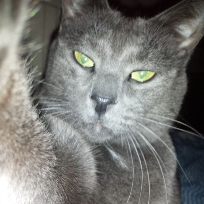 udalec77.eth Ethereum Name Service (ENS and .eth domain) PFP