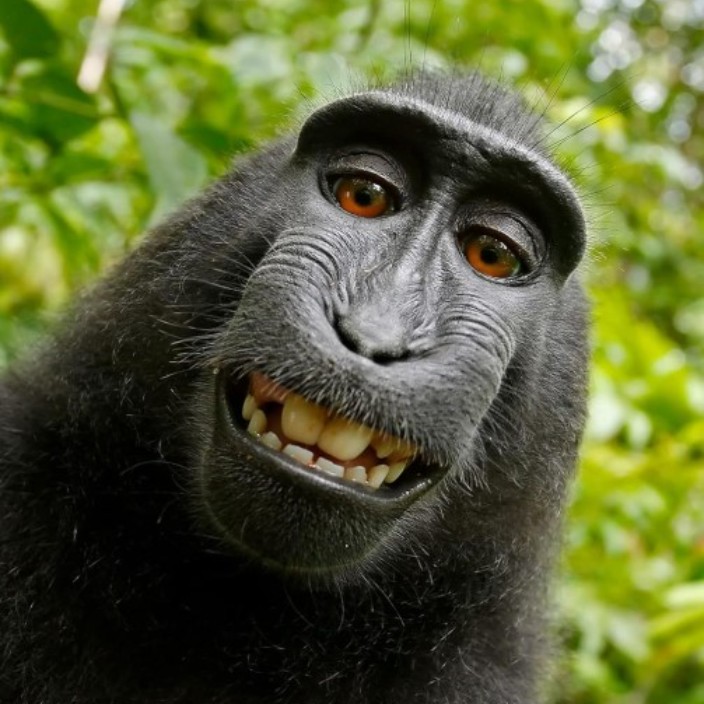 ukaukaman.eth Ethereum Name Service (ENS and .eth domain) PFP