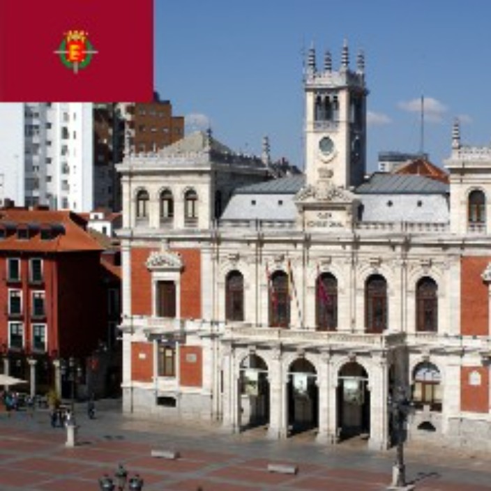 vallisoletano.eth Ethereum Name Service (ENS and .eth domain) PFP