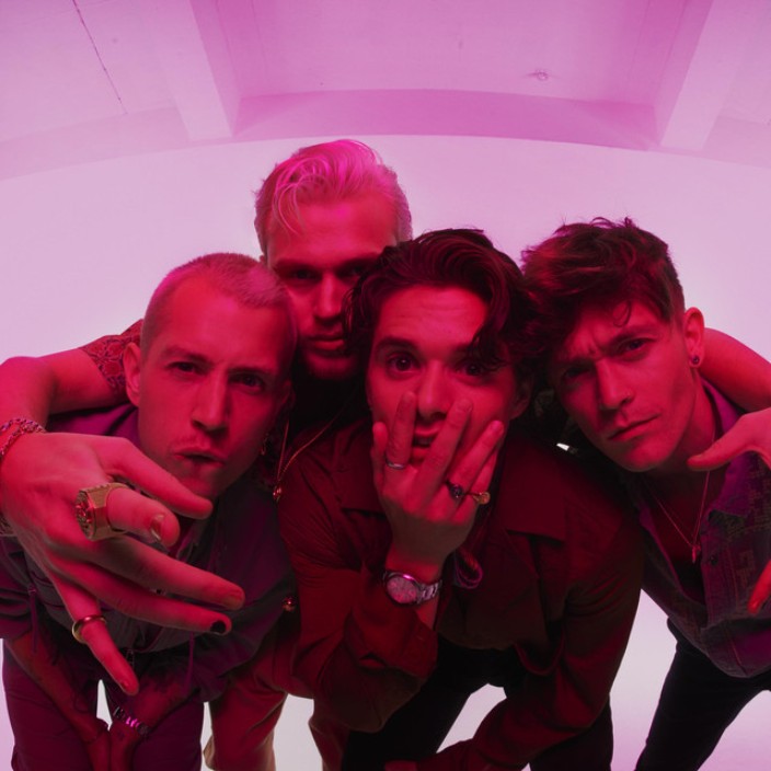 vamps.eth Ethereum Name Service (ENS and .eth domain) PFP