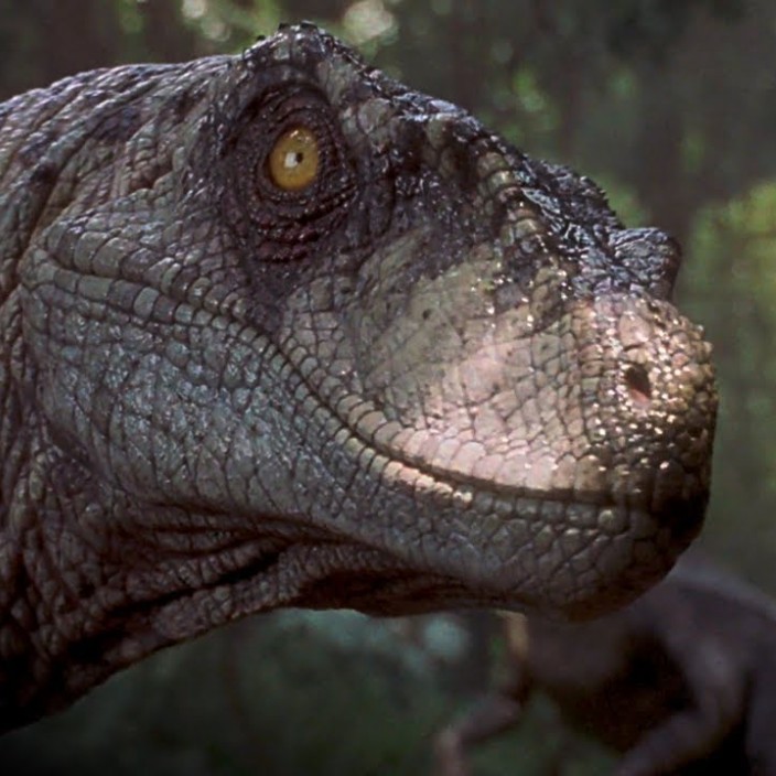 velociraptor.eth Ethereum Name Service (ENS and .eth domain) PFP