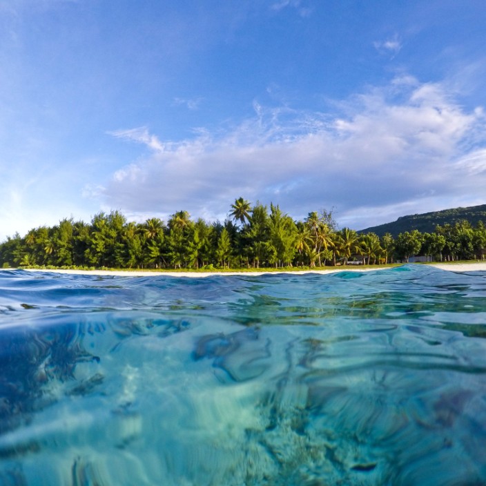 victoryfin21.eth Ethereum Name Service (ENS and .eth domain) PFP