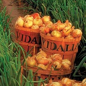 vidaliaonion.eth Ethereum Name Service (ENS and .eth domain) PFP