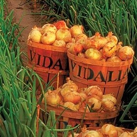 vidaliaonions.eth Ethereum Name Service (ENS and .eth domain) PFP