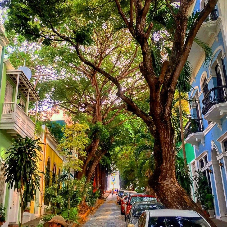 visitpr.eth Ethereum Name Service (ENS and .eth domain) PFP