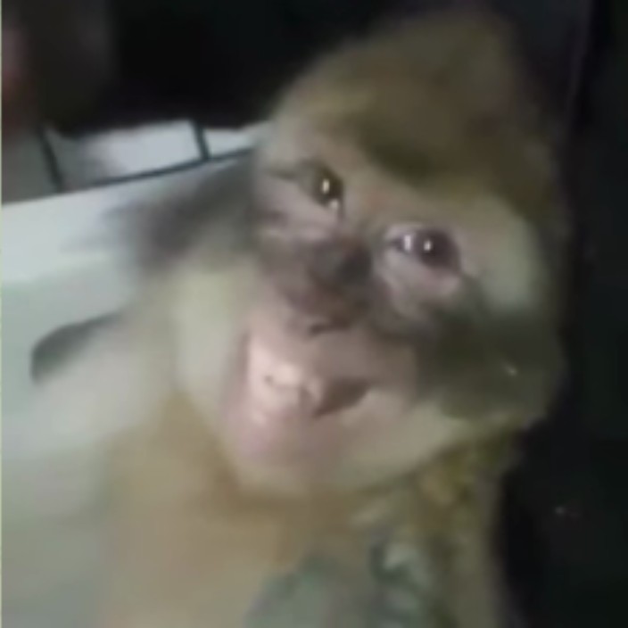 vovkawayne.eth Ethereum Name Service (ENS and .eth domain) PFP