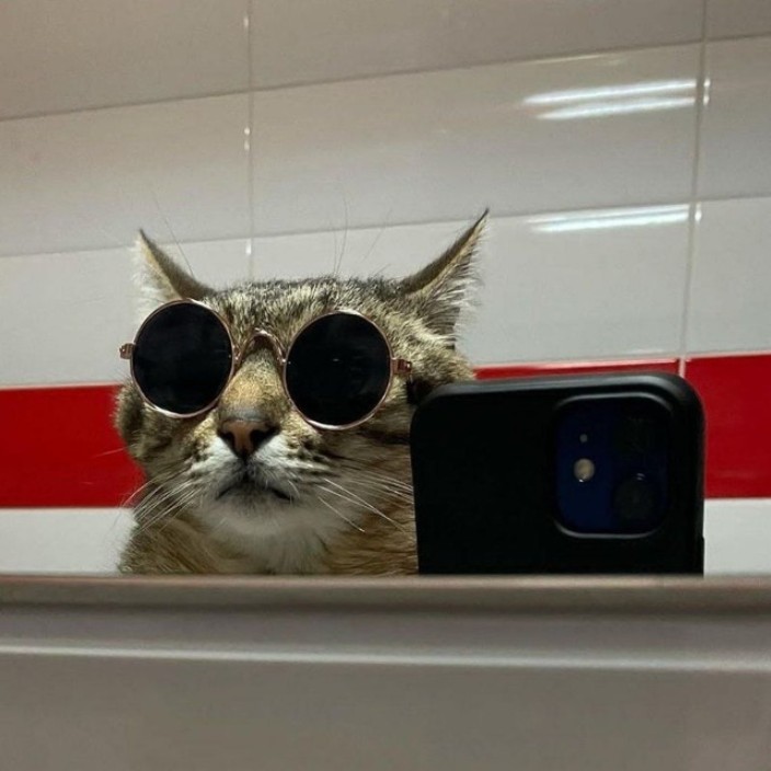 web3manishere.eth Ethereum Name Service (ENS and .eth domain) PFP