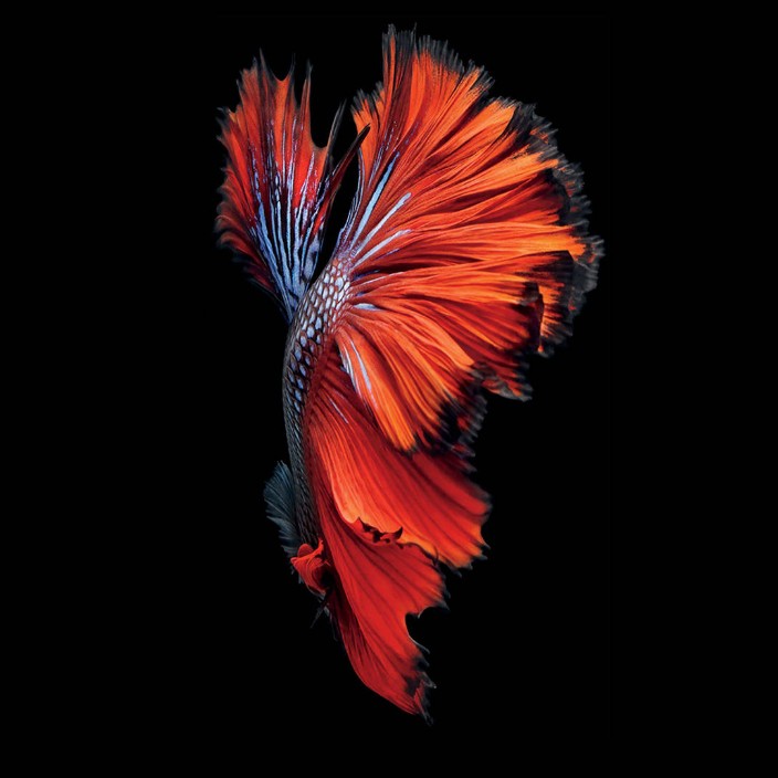 web3pioneer3.eth Ethereum Name Service (ENS and .eth domain) PFP