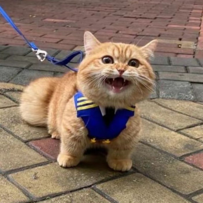 webeefy.eth Ethereum Name Service (ENS and .eth domain) PFP