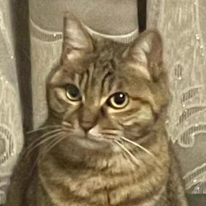 wellch4n.eth Ethereum Name Service (ENS and .eth domain) PFP