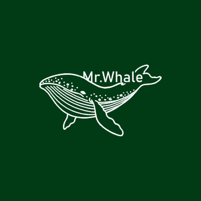Mr Whale (whalecode.eth) Ethereum Name Service (ENS and .eth domain) PFP
