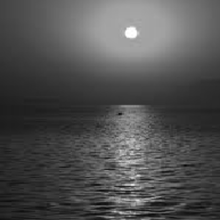 wildanxam.eth Ethereum Name Service (ENS and .eth domain) PFP