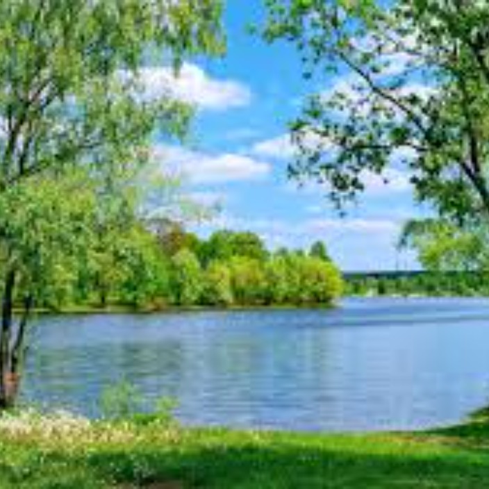 wilsony.lens Lens social identity (.lens handle) PFP