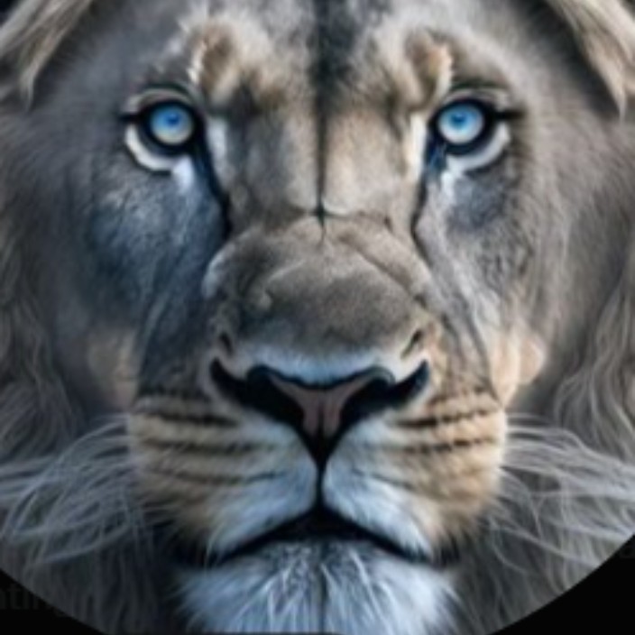 wisekings.eth Ethereum Name Service (ENS and .eth domain) PFP