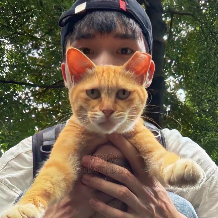 withlemon.eth Ethereum Name Service (ENS and .eth domain) PFP