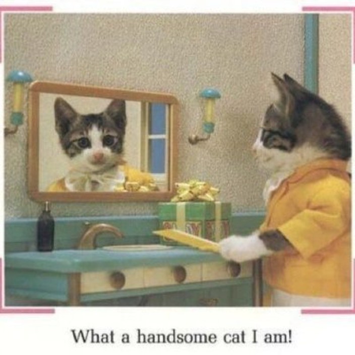 wjameson.eth Ethereum Name Service (ENS and .eth domain) PFP