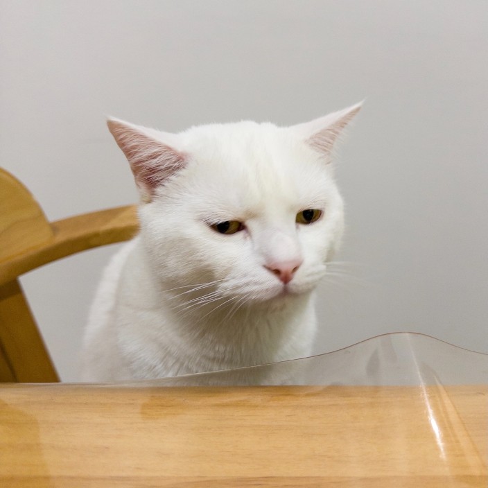 wnanw.eth Ethereum Name Service (ENS and .eth domain) PFP