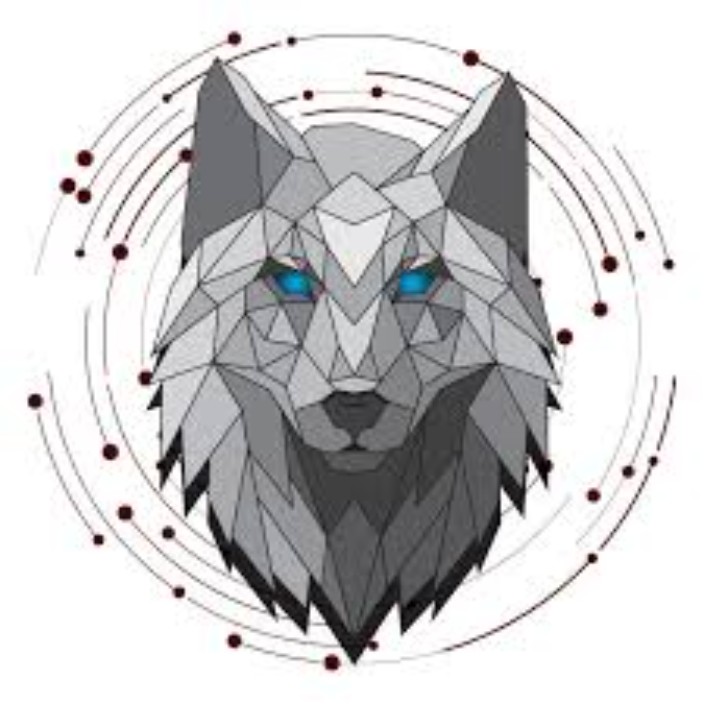 wolfound.eth Ethereum Name Service (ENS and .eth domain) PFP