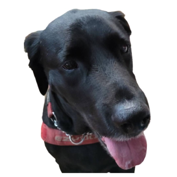 wtheodore.eth Ethereum Name Service (ENS and .eth domain) PFP