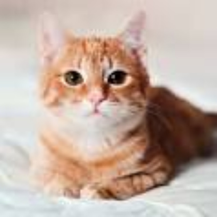 wuwenjie.eth Ethereum Name Service (ENS and .eth domain) PFP