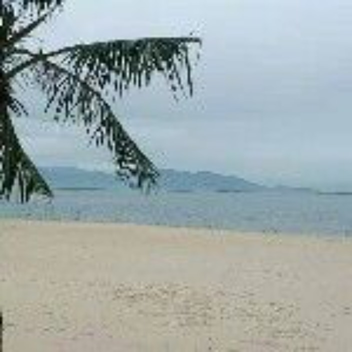 wuxiz.eth Ethereum Name Service (ENS and .eth domain) PFP