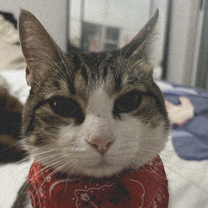 xcurfew.eth Ethereum Name Service (ENS and .eth domain) PFP