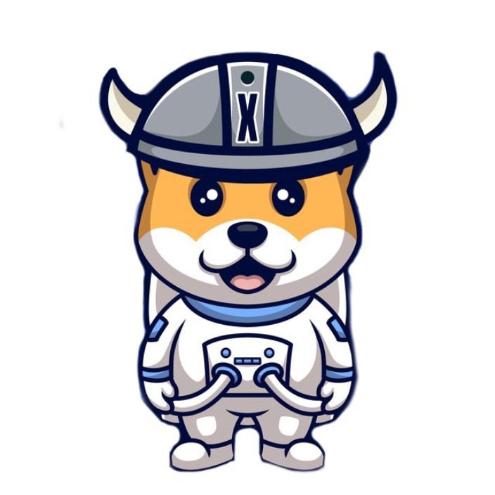 xfloki-exchangefunds.eth Ethereum Name Service (ENS and .eth domain) PFP