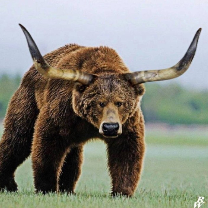 xgent.eth Ethereum Name Service (ENS and .eth domain) PFP