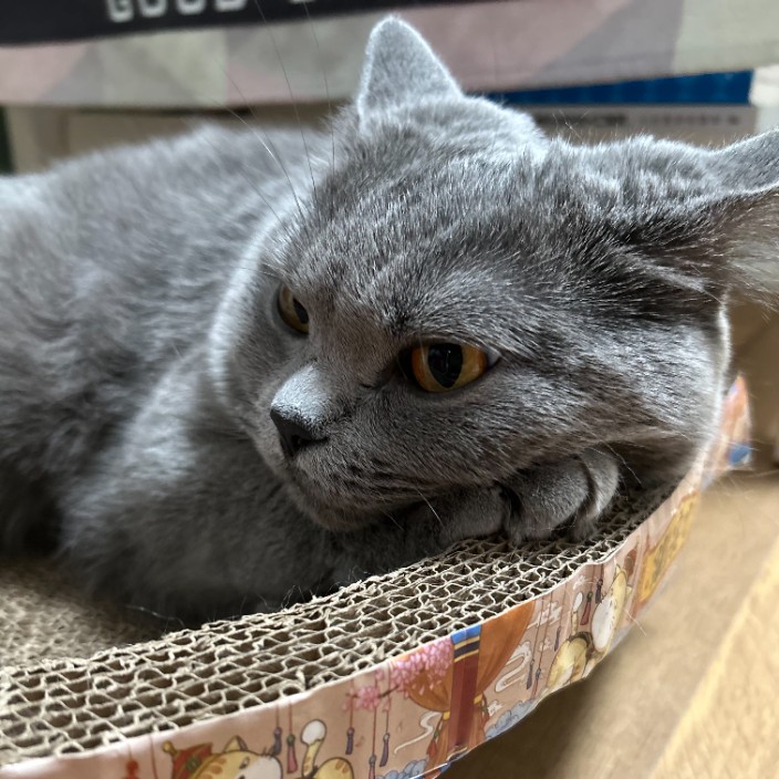 xianggq.eth Ethereum Name Service (ENS and .eth domain) PFP